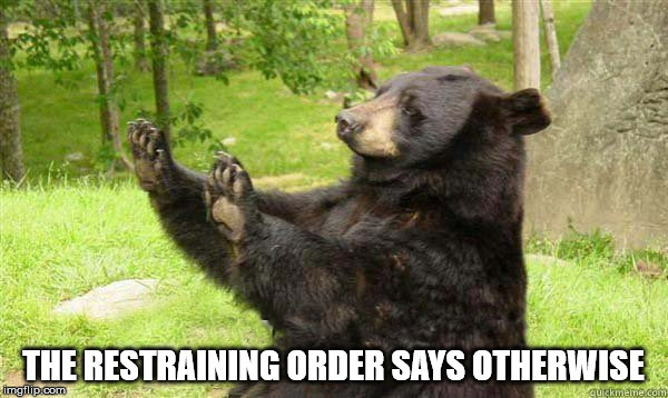 No Bear Blank | THE RESTRAINING ORDER SAYS OTHERWISE | image tagged in no bear blank | made w/ Imgflip meme maker