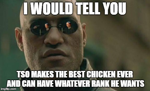 I WOULD TELL YOU TSO MAKES THE BEST CHICKEN EVER AND CAN HAVE WHATEVER RANK HE WANTS | made w/ Imgflip meme maker