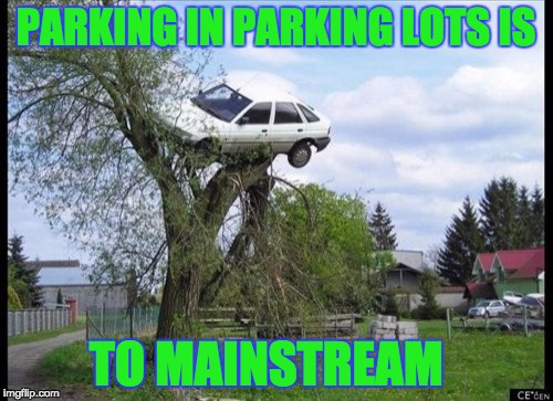 Secure Parking | PARKING IN PARKING LOTS IS; TO MAINSTREAM | image tagged in memes,secure parking | made w/ Imgflip meme maker
