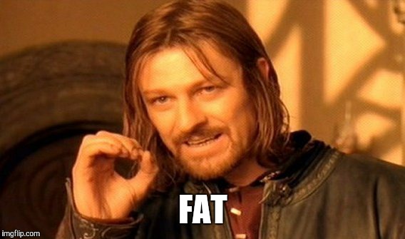 One Does Not Simply Meme | FAT | image tagged in memes,one does not simply | made w/ Imgflip meme maker