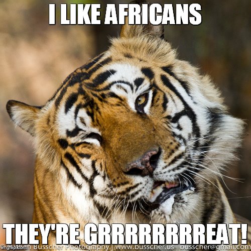Pervy Tiger  | I LIKE AFRICANS; THEY'RE GRRRRRRRREAT! | image tagged in pervy tiger | made w/ Imgflip meme maker