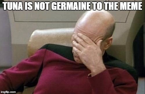 Captain Picard Facepalm Meme | TUNA IS NOT GERMAINE TO THE MEME | image tagged in memes,captain picard facepalm | made w/ Imgflip meme maker