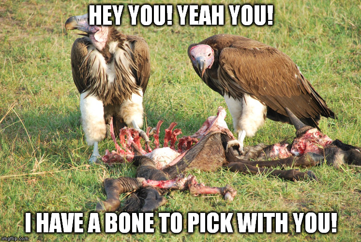 HEY YOU! YEAH YOU! I HAVE A BONE TO PICK WITH YOU! | image tagged in a bone to pick | made w/ Imgflip meme maker