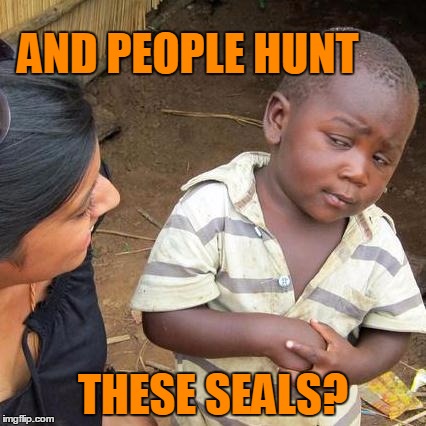 Third World Skeptical Kid Meme | AND PEOPLE HUNT THESE SEALS? | image tagged in memes,third world skeptical kid | made w/ Imgflip meme maker