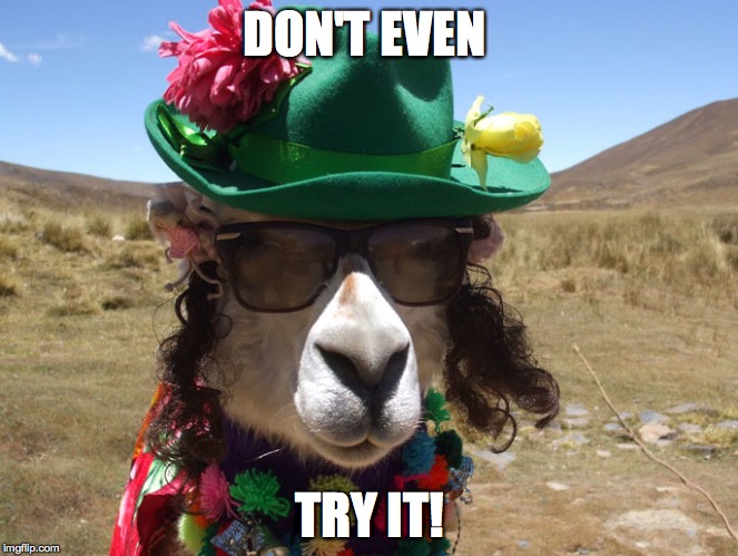 Party Llama | DON'T EVEN; TRY IT! | image tagged in party llama | made w/ Imgflip meme maker