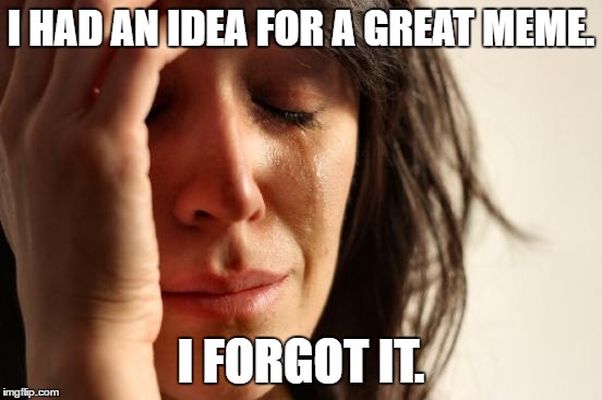 Or did i? | I HAD AN IDEA FOR A GREAT MEME. I FORGOT IT. | image tagged in memes,first world problems | made w/ Imgflip meme maker