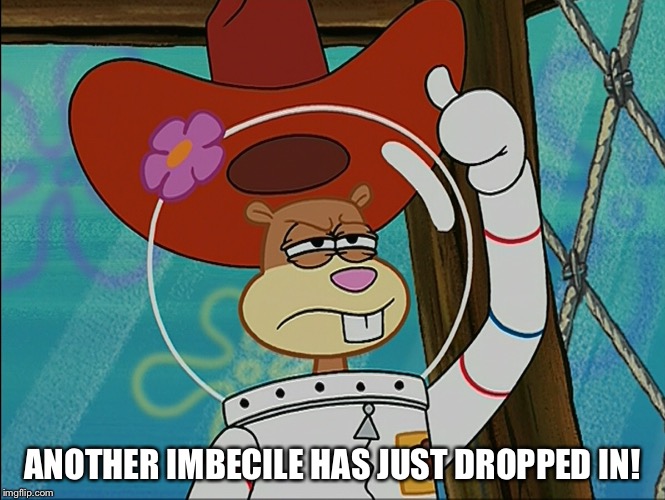  Another Imbecile Has Just Dropped In! | ANOTHER IMBECILE HAS JUST DROPPED IN! | image tagged in sandy cheeks,memes,spongebob squarepants,sandy cheeks cowboy hat,texas girl | made w/ Imgflip meme maker