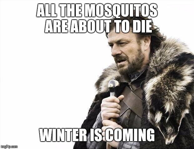 Brace Yourselves X is Coming Meme | ALL THE MOSQUITOS ARE ABOUT TO DIE WINTER IS COMING | image tagged in memes,brace yourselves x is coming | made w/ Imgflip meme maker