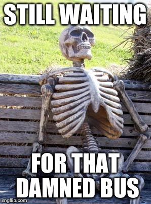 Waiting Skeleton | STILL WAITING; FOR THAT DAMNED BUS | image tagged in memes,waiting skeleton | made w/ Imgflip meme maker