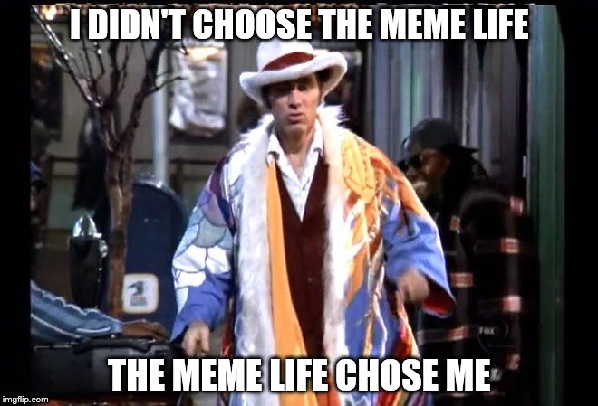 Meme Life | I DIDN'T CHOOSE THE MEME LIFE; THE MEME LIFE CHOSE ME | image tagged in meme life | made w/ Imgflip meme maker