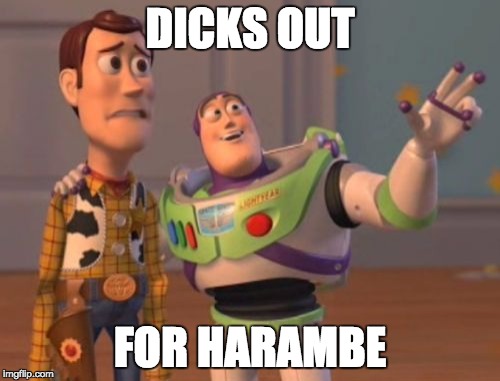 X, X Everywhere | DICKS OUT; FOR HARAMBE | image tagged in memes,x x everywhere | made w/ Imgflip meme maker