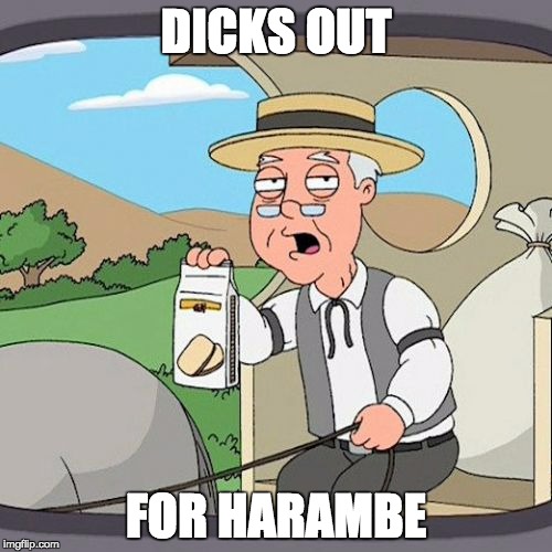 Pepperidge Farm Remembers Meme | DICKS OUT; FOR HARAMBE | image tagged in memes,pepperidge farm remembers | made w/ Imgflip meme maker