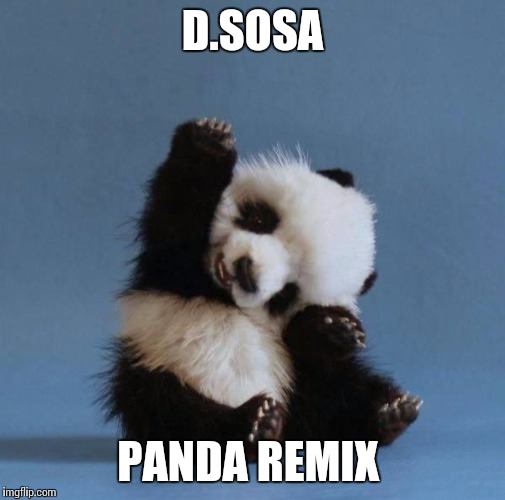 Panda | D.SOSA; PANDA REMIX | image tagged in panda | made w/ Imgflip meme maker