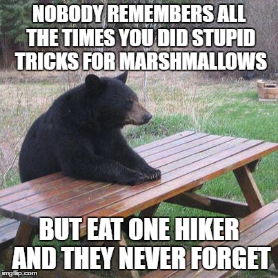 NOBODY REMEMBERS ALL THE TIMES YOU DID STUPID TRICKS FOR MARSHMALLOWS; BUT EAT ONE HIKER AND THEY NEVER FORGET | image tagged in funny memes,bear | made w/ Imgflip meme maker