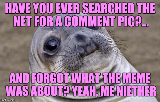 Awkward Moment Sealion | HAVE YOU EVER SEARCHED THE NET FOR A COMMENT PIC?... AND FORGOT WHAT THE MEME WAS ABOUT? YEAH, ME NIETHER | image tagged in memes,awkward moment sealion | made w/ Imgflip meme maker