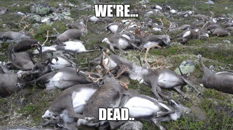 Reindeer Killed by Lightning | WE'RE... DEAD.. | image tagged in reindeer killed by lightning,i'm dead,memes | made w/ Imgflip meme maker