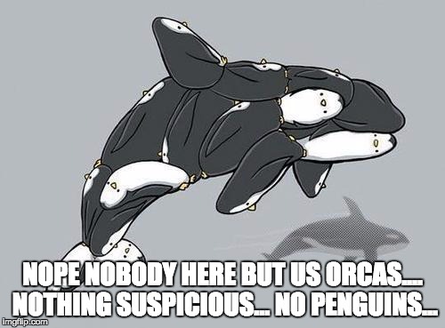 Smile and wave boys! | NOPE NOBODY HERE BUT US ORCAS.... NOTHING SUSPICIOUS... NO PENGUINS... | image tagged in penguin orca,memes,funny,funny memes,funny meme,madagascar penguins | made w/ Imgflip meme maker