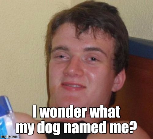 10 Guy Meme | I wonder what my dog named me? | image tagged in memes,10 guy | made w/ Imgflip meme maker