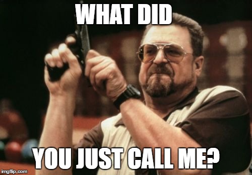Am I The Only One Around Here | WHAT DID; YOU JUST CALL ME? | image tagged in memes,am i the only one around here | made w/ Imgflip meme maker