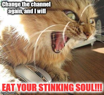 angry cat | Change the channel again, and I will; EAT YOUR STINKING SOUL!!! | image tagged in angry cat | made w/ Imgflip meme maker