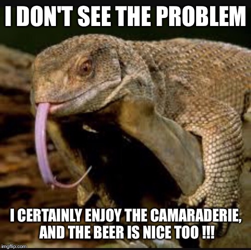 I DON'T SEE THE PROBLEM I CERTAINLY ENJOY THE CAMARADERIE, AND THE BEER IS NICE TOO !!! | made w/ Imgflip meme maker