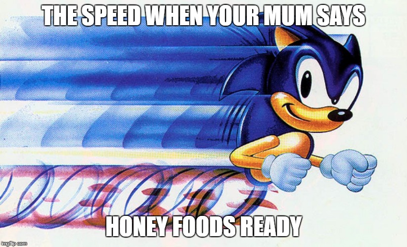 THE SPEED WHEN YOUR MUM SAYS; HONEY FOODS READY | image tagged in sonic | made w/ Imgflip meme maker