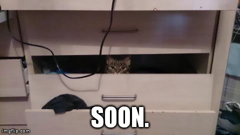 image tagged in soon,funny,cats,soon | made w/ Imgflip meme maker