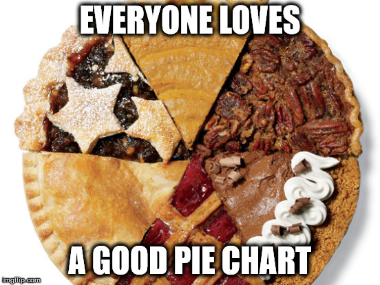 EVERYONE LOVES A GOOD PIE CHART | made w/ Imgflip meme maker