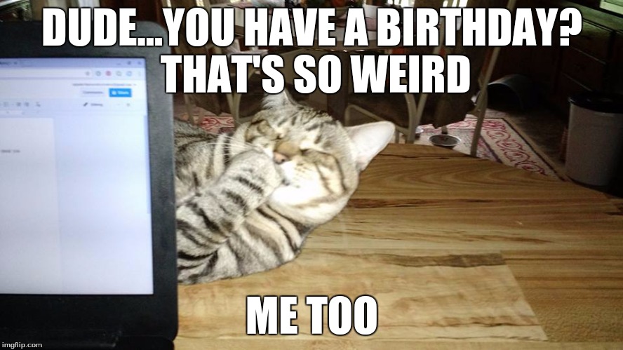 You Have a Birthday? | DUDE...YOU HAVE A BIRTHDAY? THAT'S SO WEIRD; ME TOO | image tagged in funny cats,birthday,stoner cat,happy birthday,cats,lolcats | made w/ Imgflip meme maker