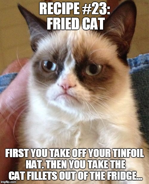 Grumpy Cat Meme |  RECIPE #23: FRIED CAT; FIRST YOU TAKE OFF YOUR TINFOIL HAT. THEN YOU TAKE THE CAT FILLETS OUT OF THE FRIDGE... | image tagged in memes,grumpy cat | made w/ Imgflip meme maker