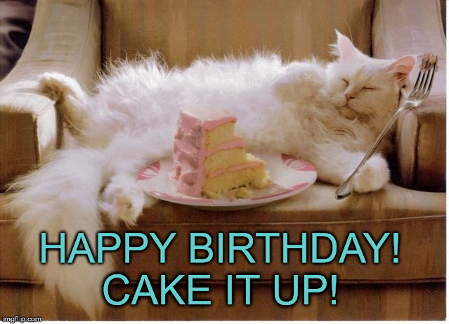 Birthday Fat Cat | HAPPY BIRTHDAY! CAKE IT UP! | image tagged in birthday fat cat | made w/ Imgflip meme maker