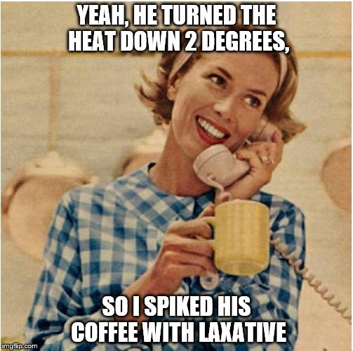 innocent mom | YEAH, HE TURNED THE HEAT DOWN 2 DEGREES, SO I SPIKED HIS COFFEE WITH LAXATIVE | image tagged in innocent mom | made w/ Imgflip meme maker