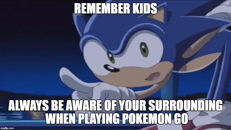 Sonic Is Niantic | REMEMBER KIDS; ALWAYS BE AWARE OF YOUR SURROUNDING WHEN PLAYING POKEMON GO | image tagged in pokemon,pokemon go,pokemon go danger,sonoic,kids don't - sonic x | made w/ Imgflip meme maker