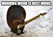 MORNING WOOD IS BEST WOOD. | made w/ Imgflip meme maker