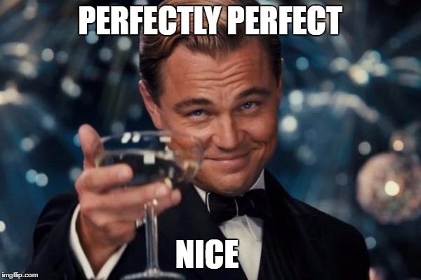 Leonardo Dicaprio Cheers Meme | PERFECTLY PERFECT NICE | image tagged in memes,leonardo dicaprio cheers | made w/ Imgflip meme maker