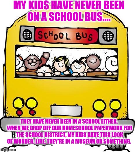 School Bus - Sunday Hours | MY KIDS HAVE NEVER BEEN ON A SCHOOL BUS.... THEY HAVE NEVER BEEN IN A SCHOOL EITHER. WHEN WE DROP OFF OUR HOMESCHOOL PAPERWORK FOR THE SCHOOL DISTRICT, MY KIDS HAVE THIS LOOK OF WONDER. LIKE, THEY'RE IN A MUSEUM OR SOMETHING. | image tagged in school bus - sunday hours | made w/ Imgflip meme maker