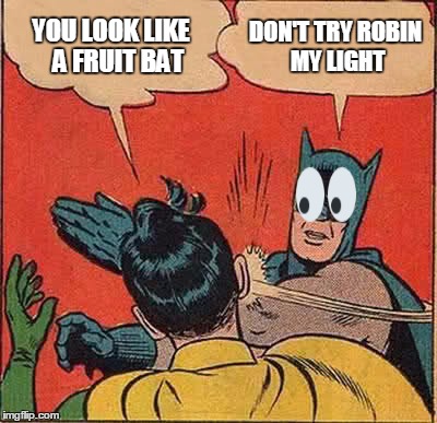 Batman Slapping Robin | YOU LOOK LIKE   A FRUIT BAT; DON'T TRY ROBIN MY LIGHT | image tagged in memes,batman slapping robin | made w/ Imgflip meme maker