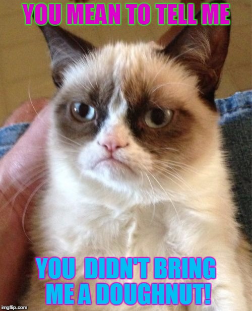 Grumpy Cat | YOU MEAN TO TELL ME; YOU  DIDN'T BRING ME A DOUGHNUT! | image tagged in memes,grumpy cat | made w/ Imgflip meme maker