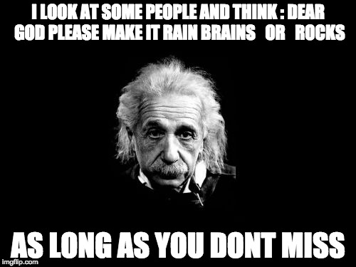 Albert Einstein 1 Meme | I LOOK AT SOME PEOPLE AND THINK : DEAR GOD PLEASE MAKE IT RAIN BRAINS   OR 

ROCKS; AS LONG AS YOU DONT MISS | image tagged in memes,albert einstein 1 | made w/ Imgflip meme maker