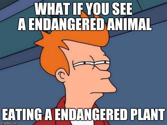 Futurama Fry Meme | WHAT IF YOU SEE A ENDANGERED ANIMAL EATING A ENDANGERED PLANT | image tagged in memes,futurama fry | made w/ Imgflip meme maker