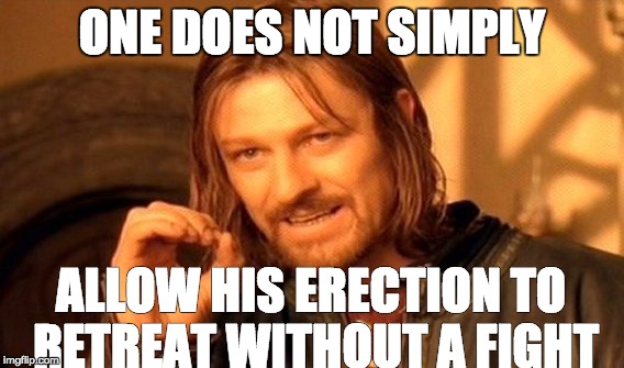 One Does Not Simply | ONE DOES NOT SIMPLY; ALLOW HIS ERECTION TO RETREAT WITHOUT A FIGHT | image tagged in memes,one does not simply | made w/ Imgflip meme maker