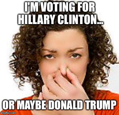 I'M VOTING FOR HILLARY CLINTON... OR MAYBE DONALD TRUMP | image tagged in presidential race | made w/ Imgflip meme maker