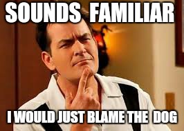SOUNDS  FAMILIAR I WOULD JUST BLAME THE  DOG | made w/ Imgflip meme maker