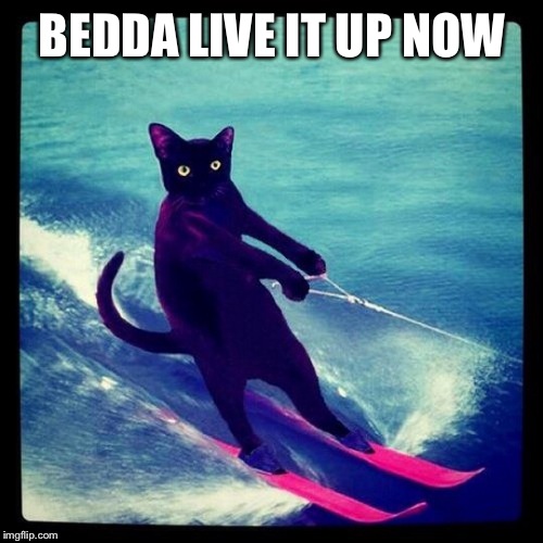 BEDDA LIVE IT UP NOW | made w/ Imgflip meme maker