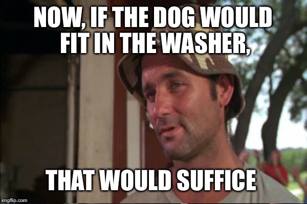 NOW, IF THE DOG WOULD FIT IN THE WASHER, THAT WOULD SUFFICE | made w/ Imgflip meme maker