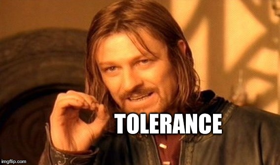 One Does Not Simply Meme | TOLERANCE | image tagged in memes,one does not simply | made w/ Imgflip meme maker