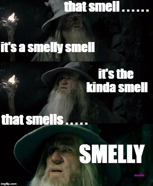 Confused Gandalf | that smell . . . . . . it's a smelly smell; it's the kinda smell; that smells . . . . . SMELLY; psycotica | image tagged in memes,confused gandalf | made w/ Imgflip meme maker