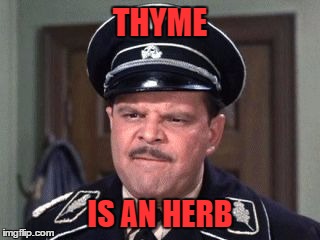 Grammar Nazi | THYME IS AN HERB | image tagged in grammar nazi | made w/ Imgflip meme maker