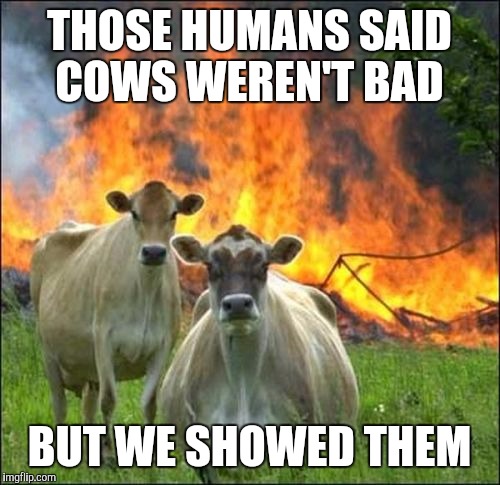 Evil Cows Meme | THOSE HUMANS SAID COWS WEREN'T BAD; BUT WE SHOWED THEM | image tagged in memes,evil cows | made w/ Imgflip meme maker