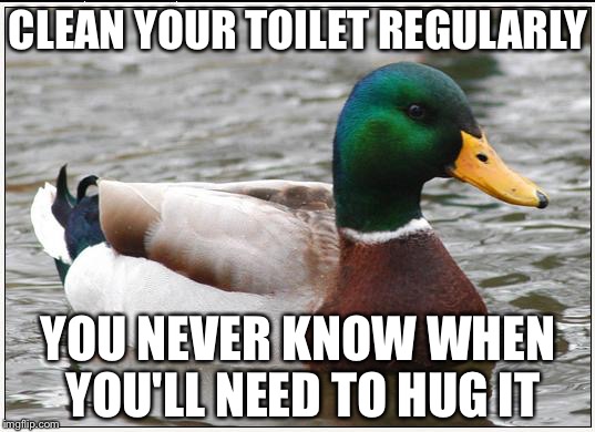 Actual Advice Mallard | CLEAN YOUR TOILET REGULARLY; YOU NEVER KNOW WHEN YOU'LL NEED TO HUG IT | image tagged in memes,actual advice mallard,AdviceAnimals | made w/ Imgflip meme maker